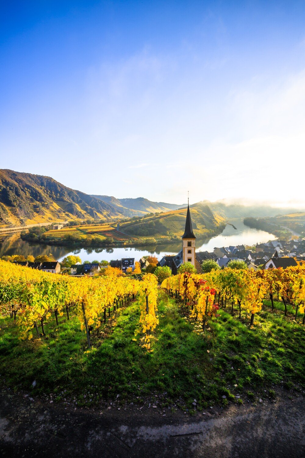 4. Waarom is de Scharzhofberger wijngaard zo beroemd?