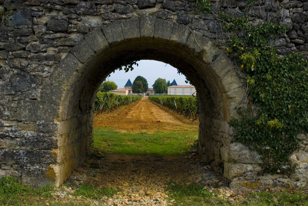 Talking wine with J&eacute;r&ocirc;me Moitry, CEO van Ch&acirc;teau Climens